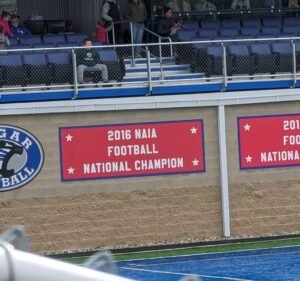 Soccer Field image 3